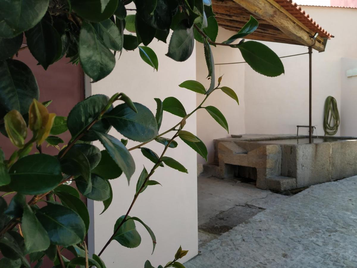 Auberge de jeunesse Entresocalcos à Loriga Extérieur photo